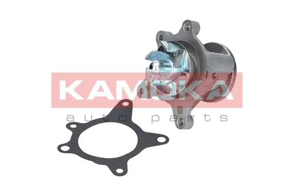 Water Pump, engine cooling (T0163)