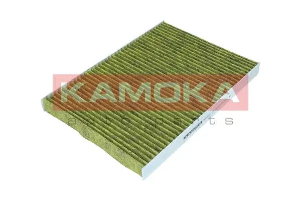 Filter, cabin air (6080081)