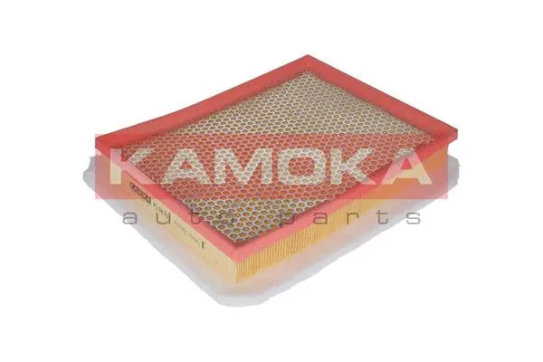 Air Filter (F206701)