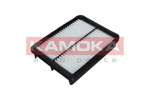 Air Filter (F239101)