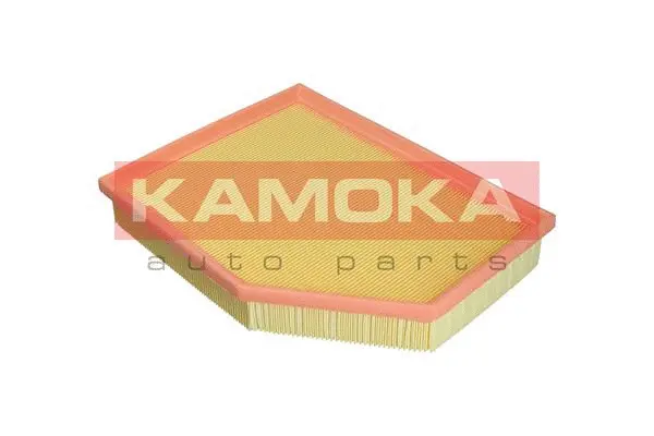 Air Filter (F250601)