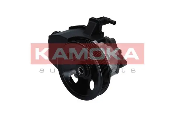 Hydraulic Pump, steering (PP127)
