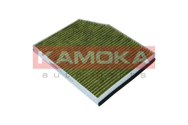 Filter, cabin air (6080078)
