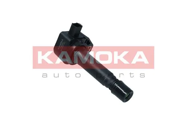 Ignition Coil (7120039)
