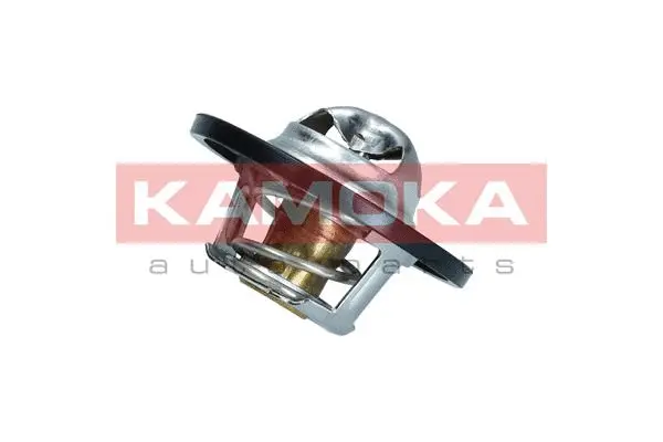 Thermostat, coolant (7710071)