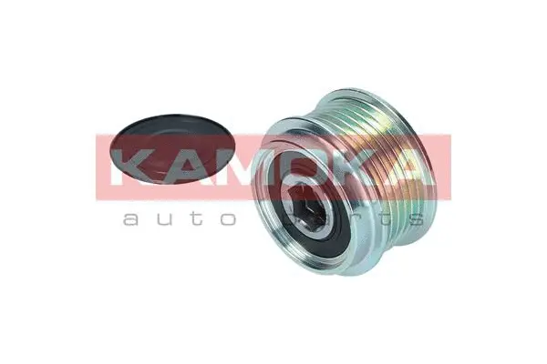 Alternator Freewheel Clutch