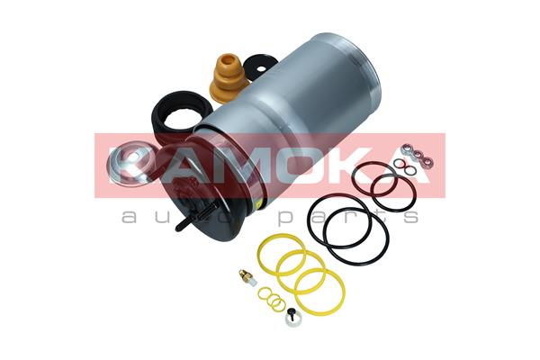 Air Spring, suspension (2079029)