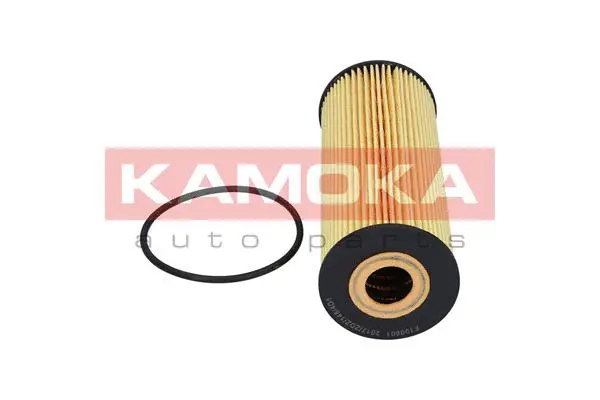 Oil Filter (F100601)