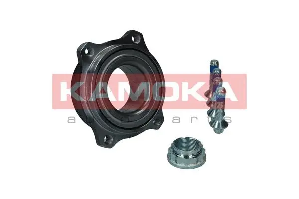 Wheel Bearing Kit (5500305)