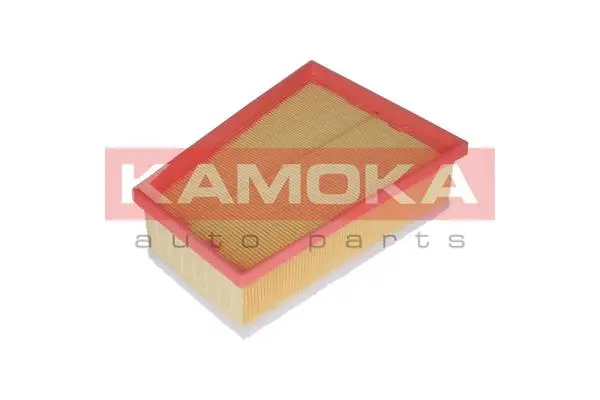 Air Filter (F234201)