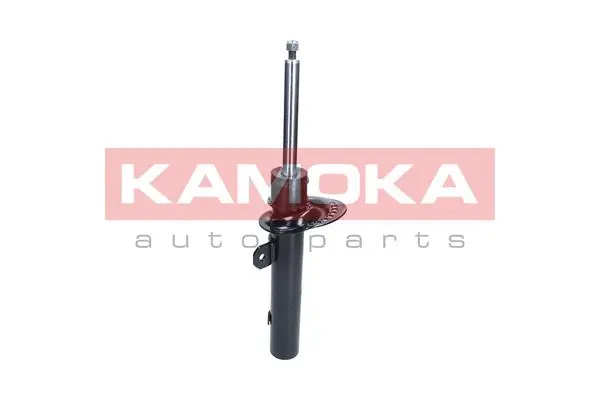 Shock Absorber (2000480)