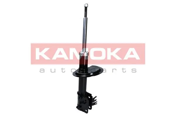 Shock Absorber