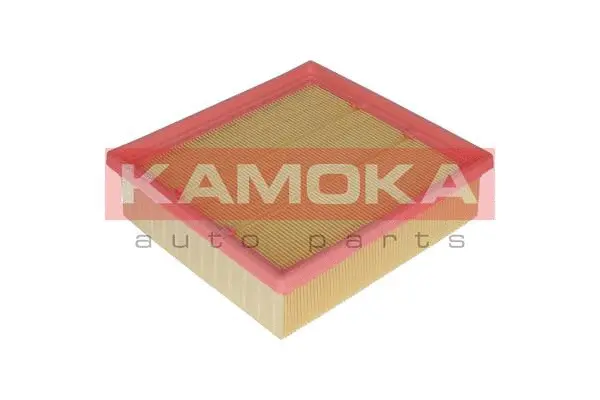 Air Filter (F222001)