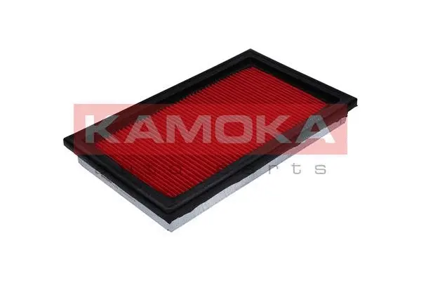 Air Filter (F205301)