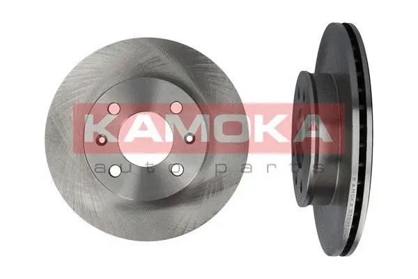 Brake Disc (1031093)