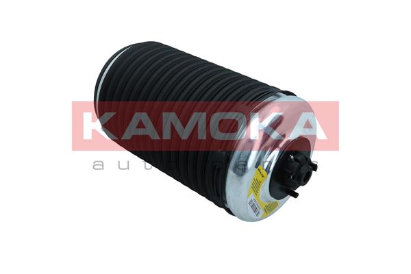 Air Spring, suspension (2079004)