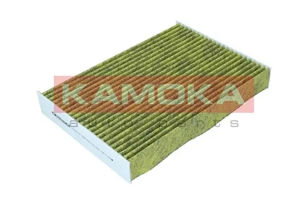 Filter, cabin air (6080125)