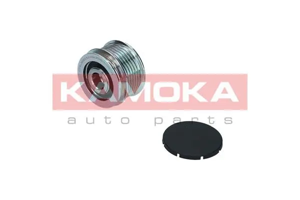 Alternator Freewheel Clutch (RC003)