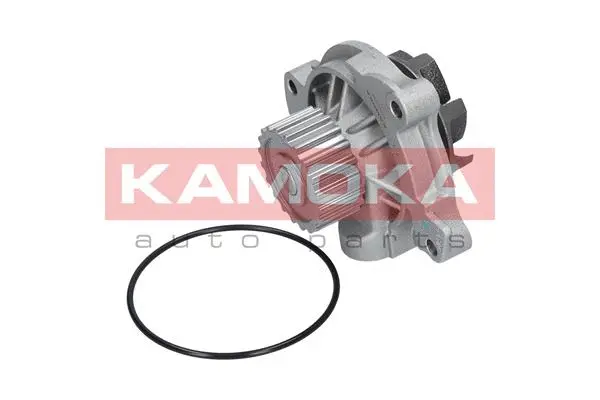 Water Pump, engine cooling (T0042)
