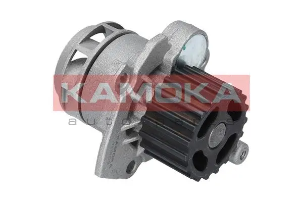 Water Pump, engine cooling (T0253)