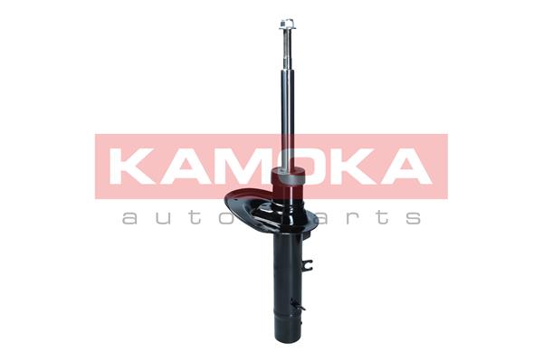 Shock Absorber (2000340)