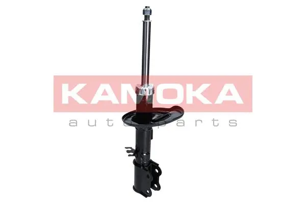 Shock Absorber (2000196)