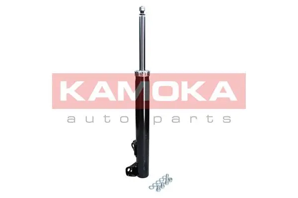 Shock Absorber (2000274)