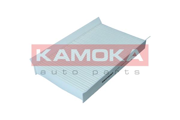 Filter, cabin air (F422901)
