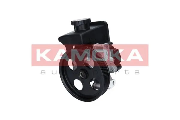 Hydraulic Pump, steering (PP133)