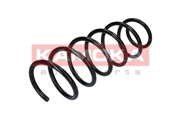 Suspension Spring (2120157)