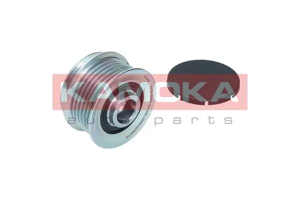 Alternator Freewheel Clutch (RC081)