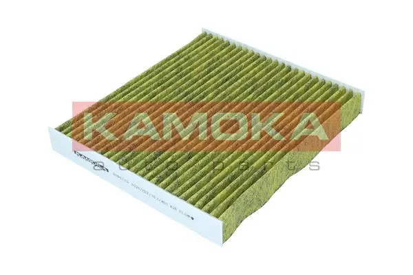 Filter, cabin air (6080129)