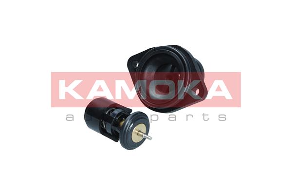 Thermostat, coolant (7710257)