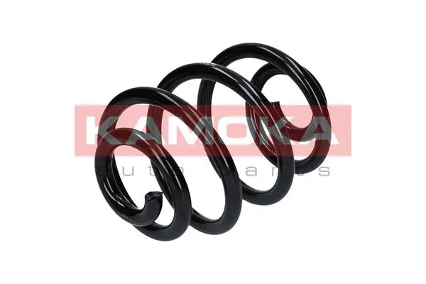 Suspension Spring (2120144)