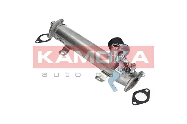 Cooler, exhaust gas recirculation