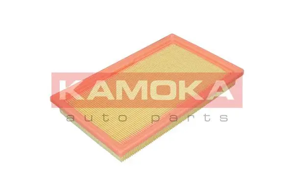 Air Filter (F253601)