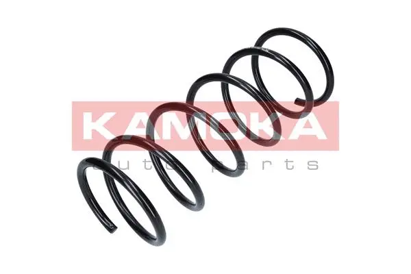 Suspension Spring (2110006)