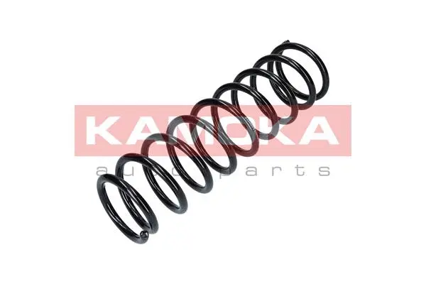 Suspension Spring (2110084)