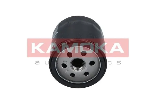 Oil Filter (F104801)