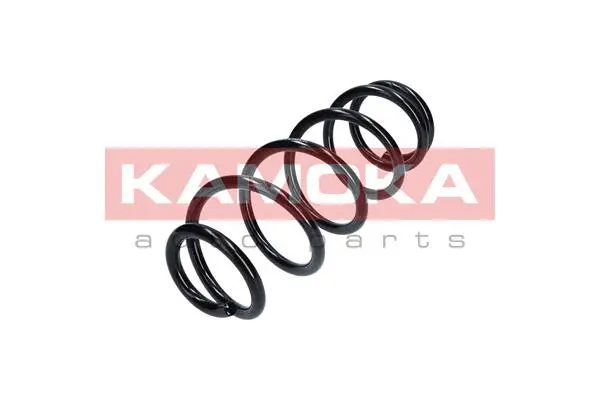 Suspension Spring (2120163)