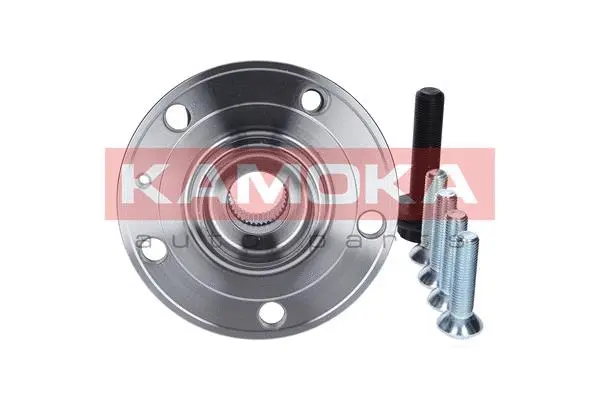 Wheel Bearing Kit (5500069)