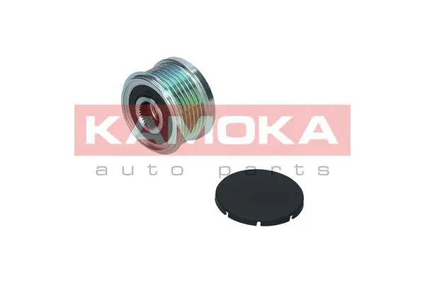 Alternator Freewheel Clutch