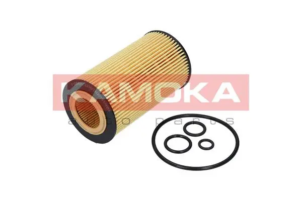 Oil Filter (F105401)