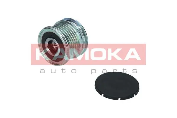 Alternator Freewheel Clutch