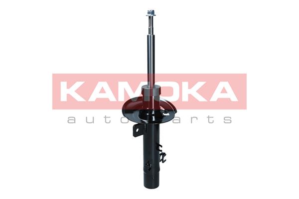 Shock Absorber (2000578)