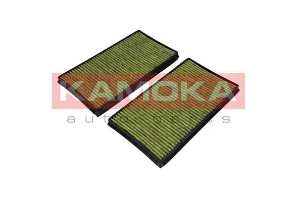 Filter, cabin air (6080033)