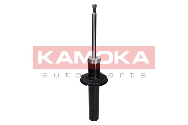 Shock Absorber (2000647)