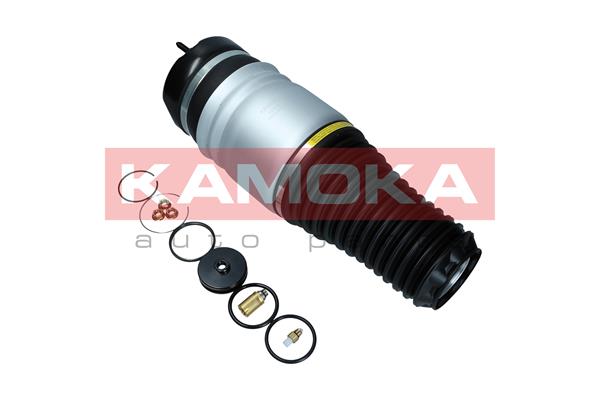 Air Spring, suspension