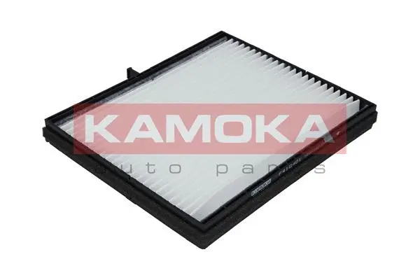 Filter, cabin air (F410401)