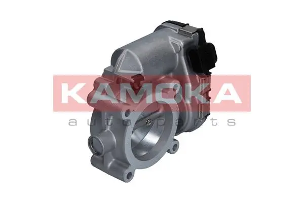 Throttle Body (112035)
